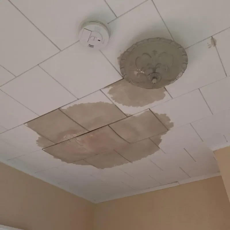 Ceiling Water Damage Repair in Eyota, MN